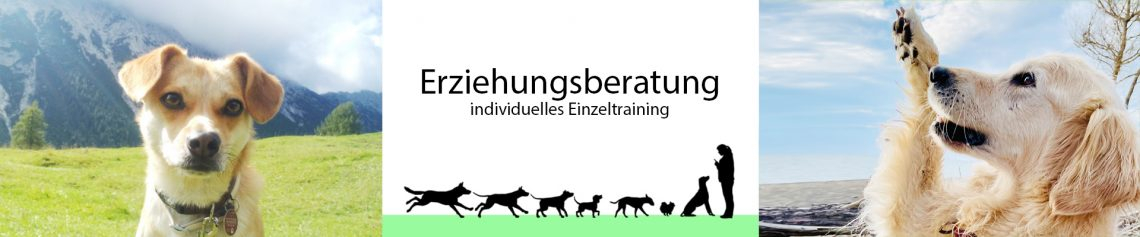 Erziehungsberatung - Einzeltraining