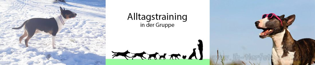 Alltagstraining